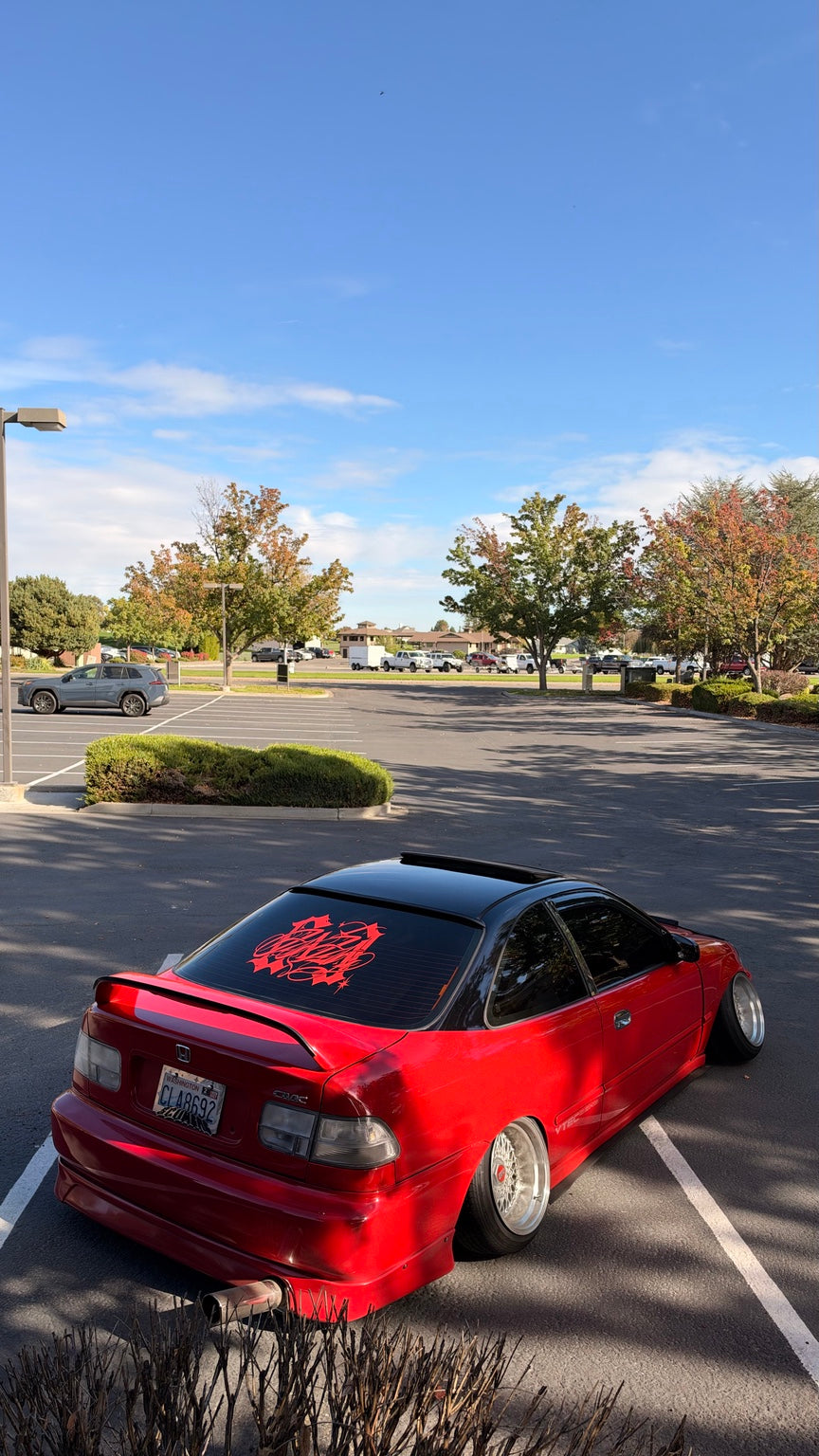 ZAZA Rear Banner