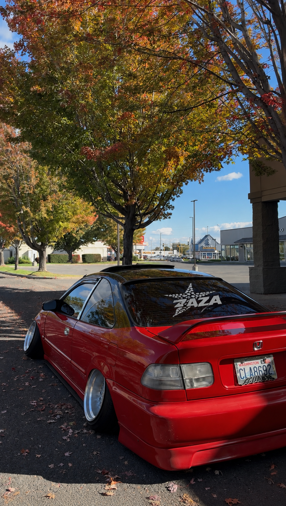 ZAZA Star Rear Banner